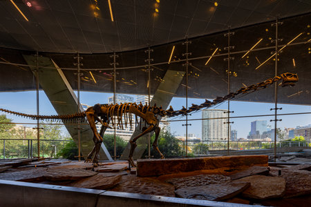 Texas, JUL 3 2023 - Interior view of the Perot Museum of Nature and Scienceのeditorial素材