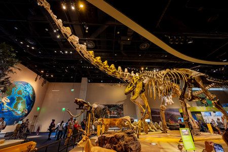 Texas, JUL 3 2023 - Interior view of the Perot Museum of Nature and Scienceのeditorial素材