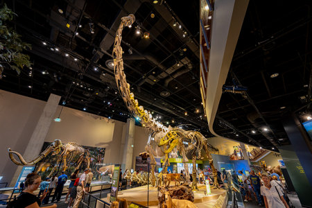 Texas, JUL 3 2023 - Interior view of the Perot Museum of Nature and Scienceのeditorial素材