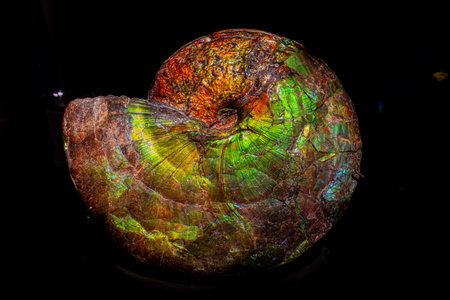 Texas, JUL 3 2023 - Close up shot ort mineral display in the Perot Museum of Nature and Scienceのeditorial素材