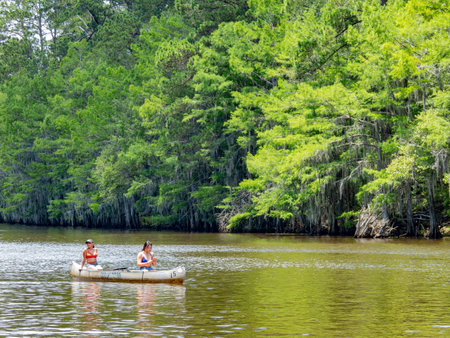 Texas, JUL 1 2023 - Woman playing boat in Caddo Lake State Parkのeditorial素材