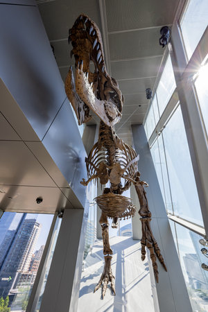 Texas, JUL 3 2023 - Interior view of the Perot Museum of Nature and Scienceのeditorial素材