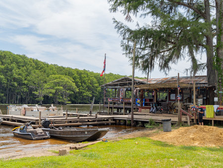 Texas, JUL 1 2023 - Sunny view of the Johnson's Ranch Marina in Caddo Lake State Parkのeditorial素材