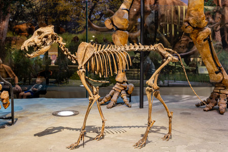 Texas, JUL 3 2023 - Interior view of the Perot Museum of Nature and Scienceのeditorial素材