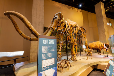 Texas, JUL 3 2023 - Interior view of the Perot Museum of Nature and Scienceのeditorial素材