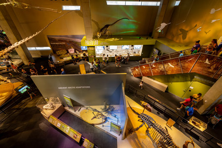 Texas, JUL 3 2023 - Interior view of the Perot Museum of Nature and Scienceのeditorial素材