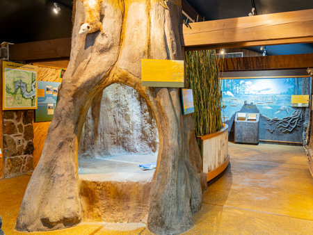Texas, JUL 2 2023 - Interiov view of the Park Headquarters of the Caddo Lake State Parkのeditorial素材