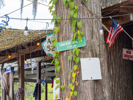 Texas, JUL 1 2023 - Sunny view of the Johnson's Ranch Marina in Caddo Lake State Parkのeditorial素材