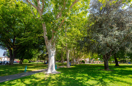 Sunny view of the garden of Sonoma Plaza History at San Franciscoの写真素材