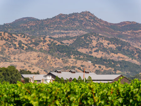 Sunny exterior view of the Silver Oak Napa Valley at San Francisco, Californiaの写真素材