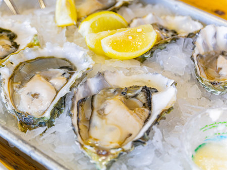 Close up shot of half shell raw oyster at San Francisco, Californiaの写真素材
