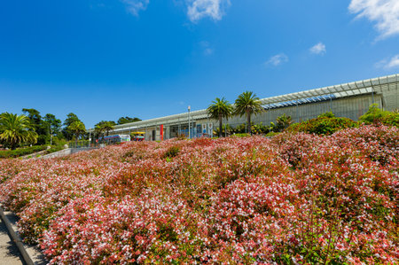 San Francisco, AUG 25 2014 - Sunny view of The California Academy of Sciences