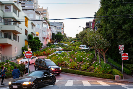 San Francisco, AUG 25 2014 - Twilight view of the famous Lombard Streetのeditorial素材