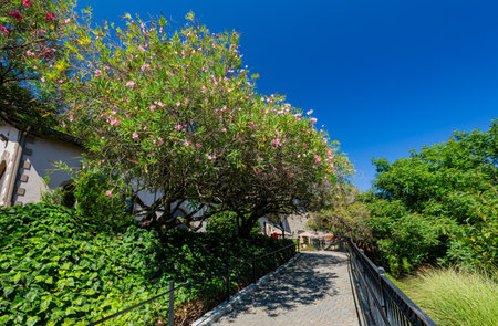 California, AUG 26 2014 - Sunny exterior view of the Beringer Vineyardsのeditorial素材