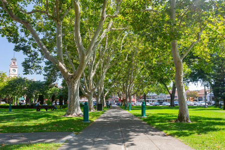 San Francisco, AUG 26 2014 - Sunny view of the garden of Sonoma Plaza Historyのeditorial素材