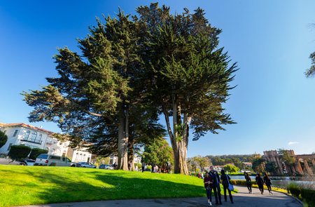 San Francisco, AUG 24 2014 - Sunny view of the residence building near Palace of Fine Artsのeditorial素材