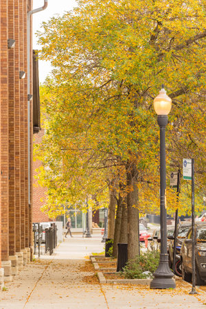 Overcast street view near the University of Illinois Chicago at Illinoisの写真素材