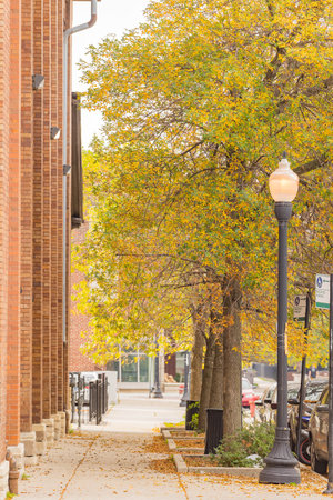 Overcast street view near the University of Illinois Chicago at Illinoisの写真素材