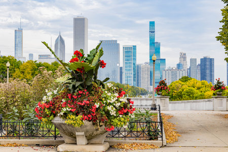 Sunny view of the downtown cityscape at Chicagoの写真素材