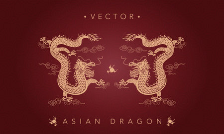 Asian dragon chinese dragon totem patternのイラスト素材