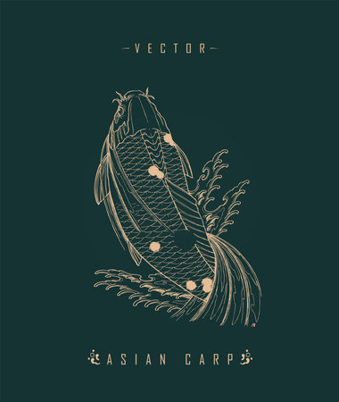 Asian carp art pattern chinese carpのイラスト素材