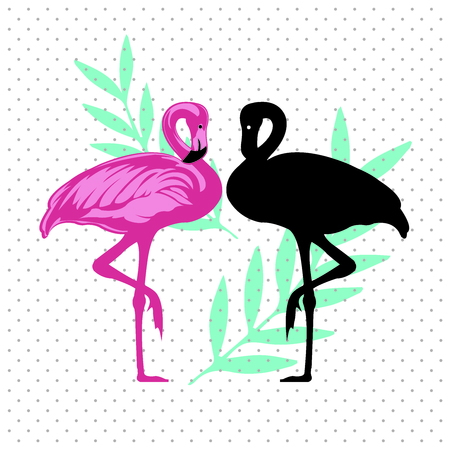 Flamingo vector illustrationのイラスト素材