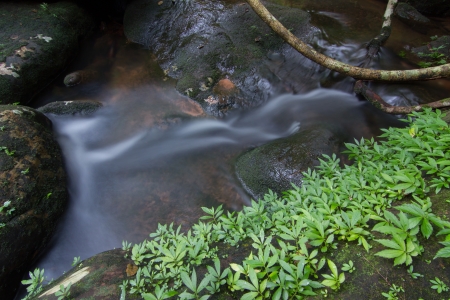 Waterfallの写真素材