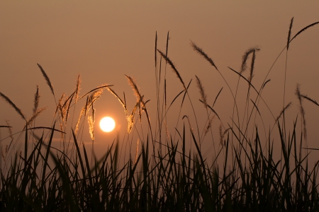 Sunsetの写真素材