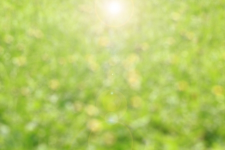 Bokeh green and yellow.の写真素材
