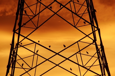 High voltage power pylons evening.の写真素材