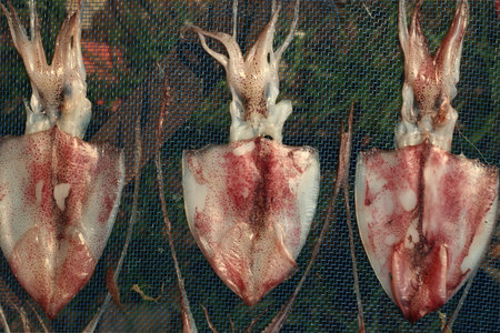 Dried squid dry.