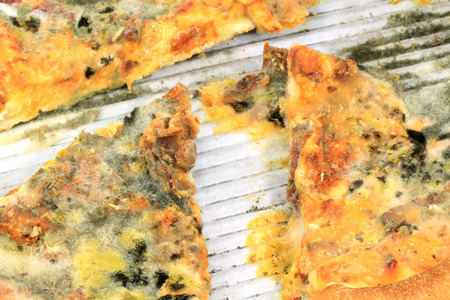 Pizza moldyの写真素材