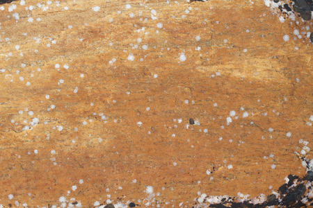 Stone backgroundの写真素材