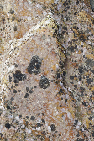 Stone backgroundの写真素材