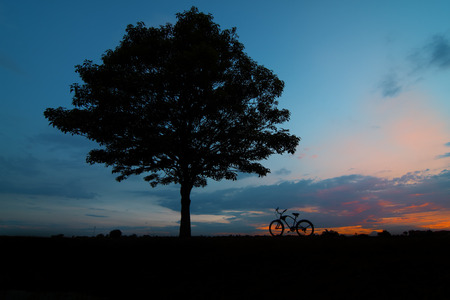 Tree silhouette shape with a bicycle parked at the base of the tree twilight.の写真素材