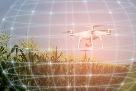 Drone of corn fieldの写真素材