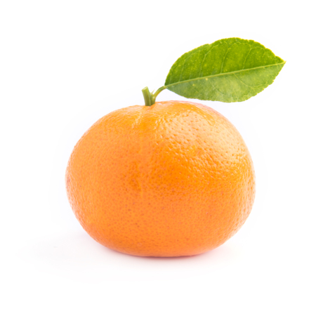 orange isolated on white backgroundの写真素材