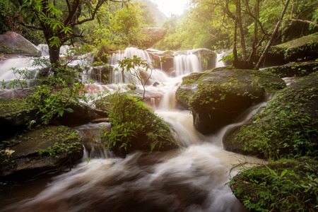 Amazing waterfall in colorful autumn forestの写真素材
