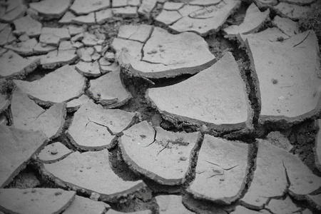 Drought, water shortages, Thailandの写真素材