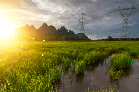 Beautiful natural landscape for backgroundの写真素材