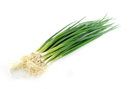 fresh spring onions isolated over white backgroundの写真素材