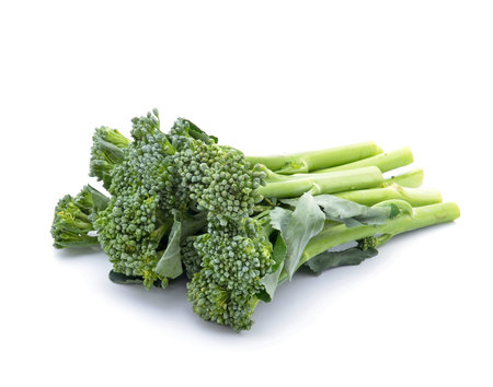 Healthy brocoliの写真素材