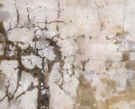 Vintage or grungy white background of natural cement or stone old texture as a retro pattern wallの写真素材