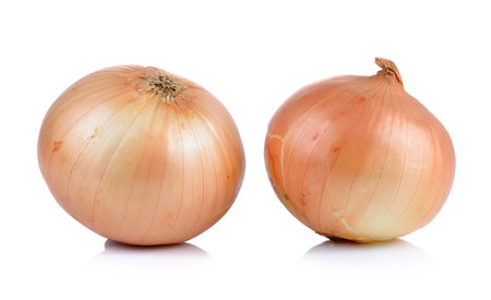 onion on white backgroundの写真素材