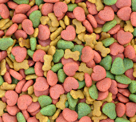 Dried dog food backgroundの写真素材