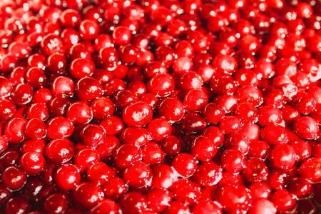 red cherries in sugar syrup, close-up, selective focusの写真素材