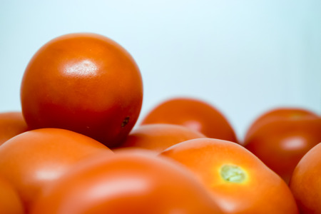 Bright Red Tomatoes on a white background nothing elseの写真素材