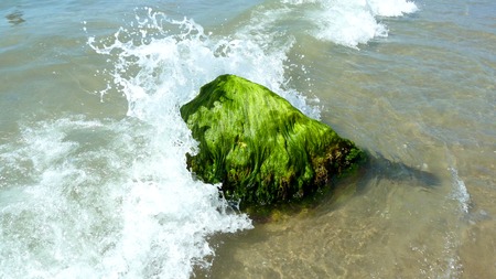 Water splashing on the beach on a warm summers day.の写真素材