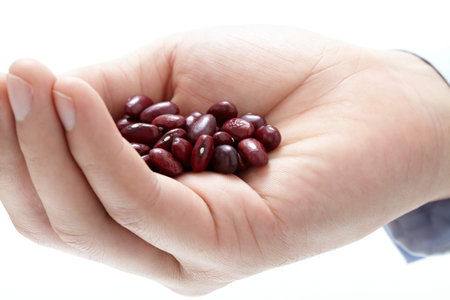 Handfuls of beansの写真素材