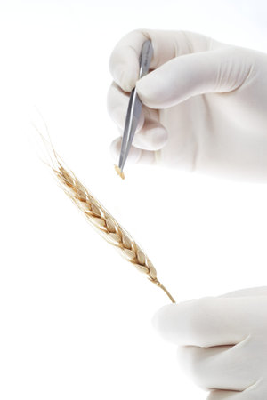 hand in glove with tweezer on white isolated on white backgroundの写真素材